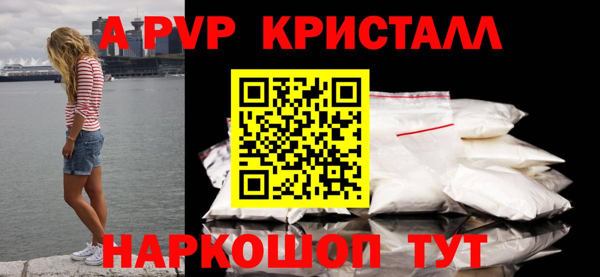 Альфа ПВП СК КРИС Губкинский