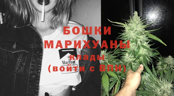 apvp Богданович