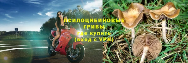 индика Богородск