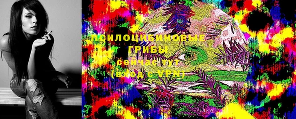 индика Богородск