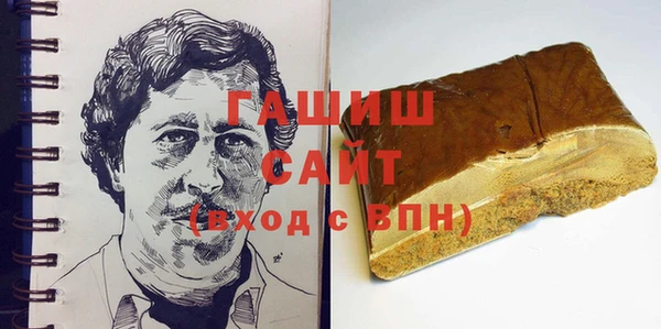 индика Богородск