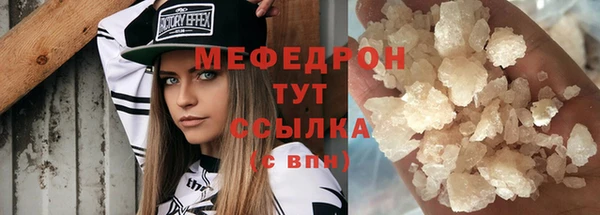индика Богородск