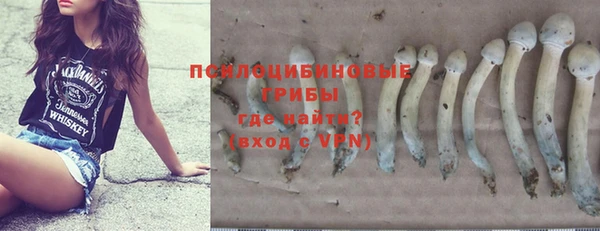 индика Богородск