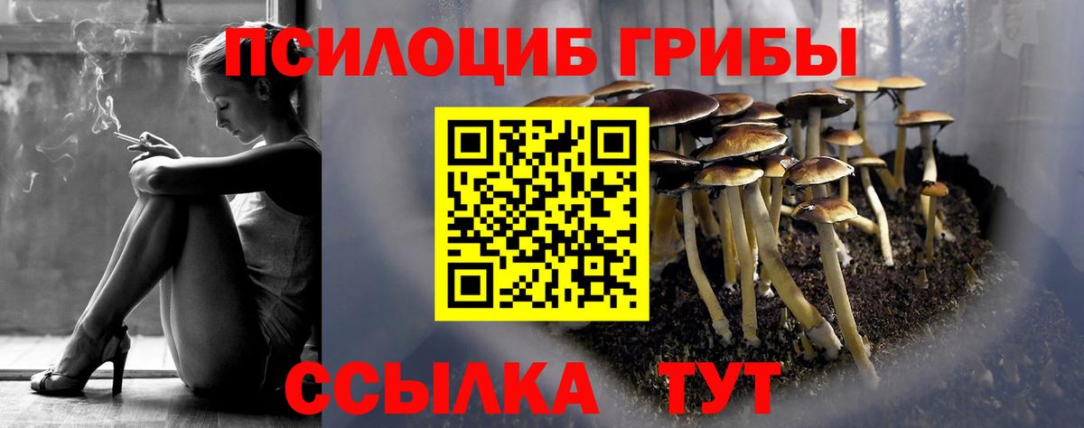 Губкинский  Псилоцибиновые грибы ЛСД  Вход с VPN  наркота  Псилоцибиновые грибы MAGIC MUSHROOMS 