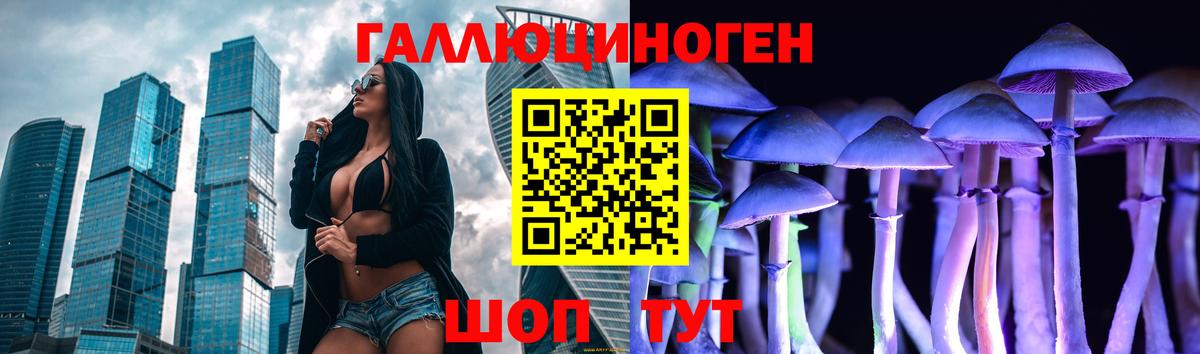 Псилоцибиновые грибы мицелий Губкинский